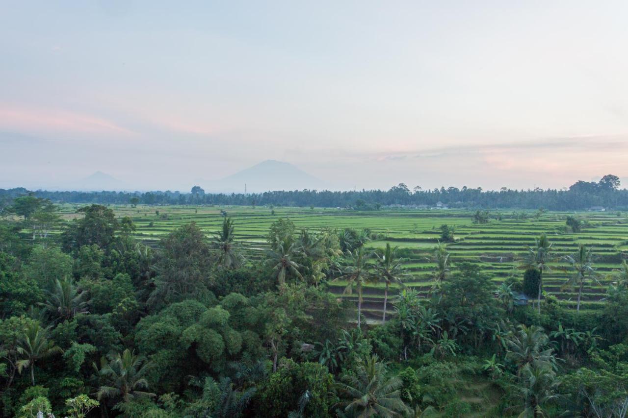 Seres Springs Resort & Spa, Singakerta Ubud Exteriör bild